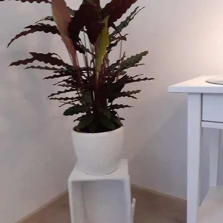 Cafe-konditorei-pension Sander בית הארחה 4*